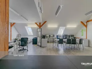 Pronájem kanceláře, Plzeň, Kopeckého sady, 265 m2