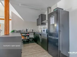 Pronájem kanceláře, Plzeň, Kopeckého sady, 265 m2