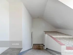 Pronájem kanceláře, Plzeň, Kopeckého sady, 265 m2