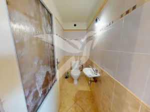 Pronájem rodinného domu, Blšany, Liběšovice, 207 m2