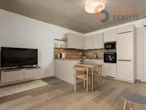 Pronájem bytu 2+kk, Břeclav, Pod Zámkem, 56 m2