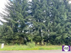Prodej pozemku pro bydlení, Rotava, Sklenský vrch, 445 m2