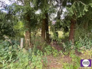 Prodej pozemku pro bydlení, Rotava, Sklenský vrch, 445 m2