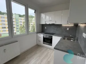 Pronájem bytu 1+1, Český Krumlov, Sídliště Plešivec, 40 m2
