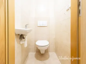 Pronájem bytu 4+1, České Budějovice - České Budějovice 2, Lipová, 96 m2