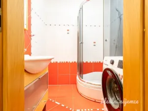 Pronájem bytu 1+1, České Budějovice - České Budějovice 2, Na Zlaté stoce, 45 m2