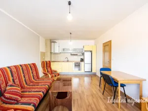 Pronájem bytu 1+1, České Budějovice - České Budějovice 2, Na Zlaté stoce, 45 m2