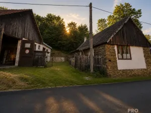 Prodej komerční nemovitosti, Brtnice, 174 m2