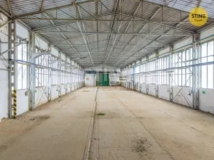 Prodej výrobních prostor, Blížejov, Nádražní, 5979 m2