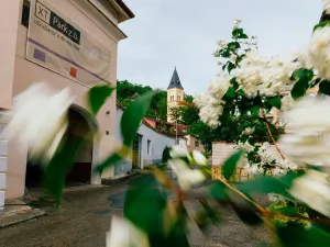 Prodej bytu 2+kk, Praha, Ke Krči, 54 m2