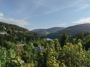 Prodej bytu 2+kk, Špindlerův Mlýn - Bedřichov, 40 m2