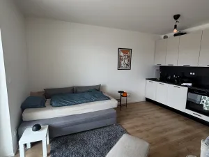 Pronájem bytu 1+kk, Beroun, U Židovského hřbitova, 29 m2