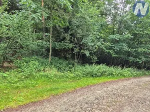 Prodej pozemku, Prachatice, 23991 m2