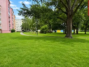 Pronájem bytu 2+1, Opava, Rolnická, 58 m2
