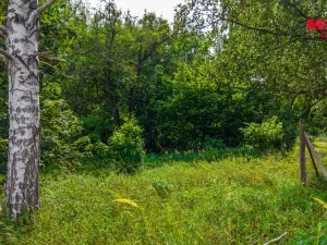 Prodej pozemku pro bydlení, Ralsko - Hradčany, 1263 m2