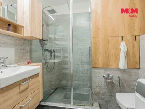 Prodej bytu 1+kk, Havířov - Šumbark, Letní, 30 m2
