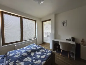Pronájem bytu 2+kk, Plzeň, Pallova, 46 m2