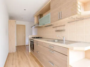 Prodej bytu 2+1, Ústí nad Labem - Severní Terasa, Pincova, 64 m2