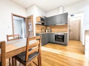 Pronájem bytu 2+1, Lovosice, Žižkova, 47 m2