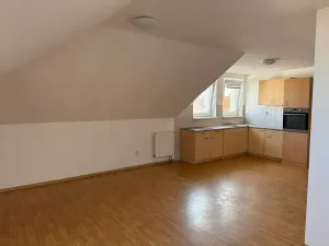 Pronájem bytu 1+kk, České Budějovice, Skuherského, 42 m2