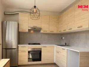Pronájem bytu 1+1, Nový Jičín, Dlouhá, 35 m2