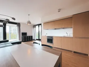 Pronájem bytu 2+kk, Praha - Žižkov, Pitterova, 55 m2