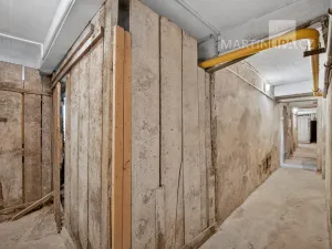 Prodej bytu 2+kk, Praha - Nusle, V Občanském domově, 53 m2