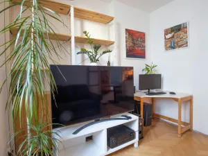 Prodej bytu 2+kk, Praha - Holešovice, U Uranie, 40 m2