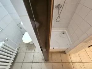 Pronájem obchodního prostoru, Praha, Braunerova, 67 m2