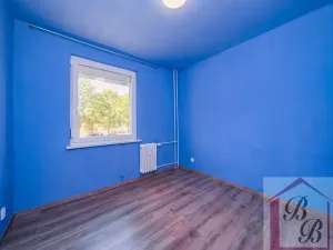 Prodej bytu 4+1, Mladá Boleslav, Mládežnická, 78 m2