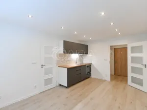 Prodej bytu 2+kk, Praha - Krč, Hurbanova, 39 m2