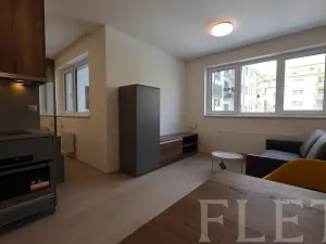 Pronájem bytu 1+kk, Praha - Holešovice, V háji, 38 m2