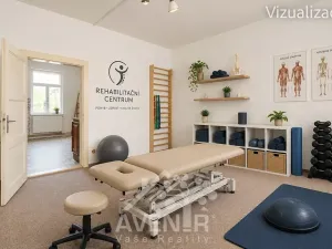 Prodej obchodního prostoru, Kroměříž, Žižkova, 244 m2