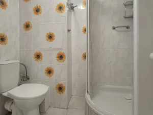 Pronájem bytu 2+kk, Bílina - Teplické Předměstí, Čapkova, 41 m2