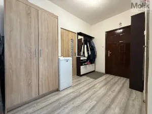 Prodej bytu 3+1, Bílina - Teplické Předměstí, M. Švabinského, 72 m2