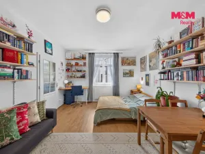Prodej bytu 1+kk, Praha - Holešovice, U parního mlýna, 30 m2