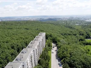 Prodej bytu 2+1, Brno, Voříškova, 52 m2