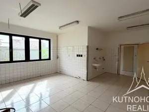 Pronájem výrobních prostor, Kutná Hora, Dolní, 262 m2