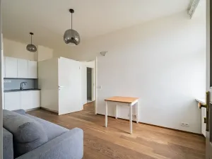Pronájem bytu 1+1, Praha - Žižkov, Řehořova, 32 m2