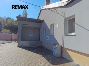 Pronájem obchodního prostoru, Brněnec, 238 m2