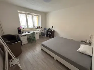 Pronájem bytu 1+1, Opava, Na Rybníčku, 38 m2