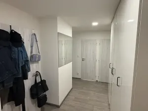 Pronájem bytu 1+1, Opava, Na Rybníčku, 38 m2