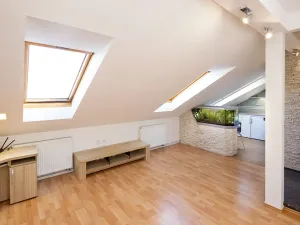 Pronájem bytu 2+kk, Opava, Mánesova, 48 m2