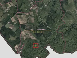 Prodej podílu louky, Javorník, 2636 m2