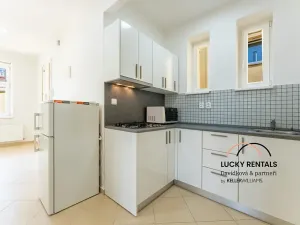 Pronájem bytu 1+kk, Praha - Vinohrady, Moravská, 49 m2