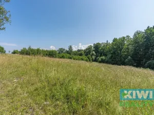 Prodej pozemku pro bydlení, Těrlicko, Hraniční, 951 m2