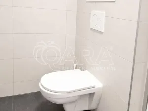 Prodej bytu 1+kk, Praha - Hodkovičky, Pod lysinami