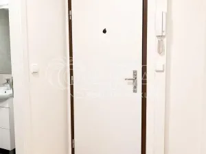 Prodej bytu 1+kk, Praha - Hodkovičky, Pod lysinami