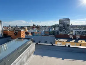 Prodej bytu 5+kk, Brno - Zábrdovice, 188 m2
