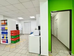 Pronájem obchodního prostoru, Sokolov, Ondříčkova, 100 m2